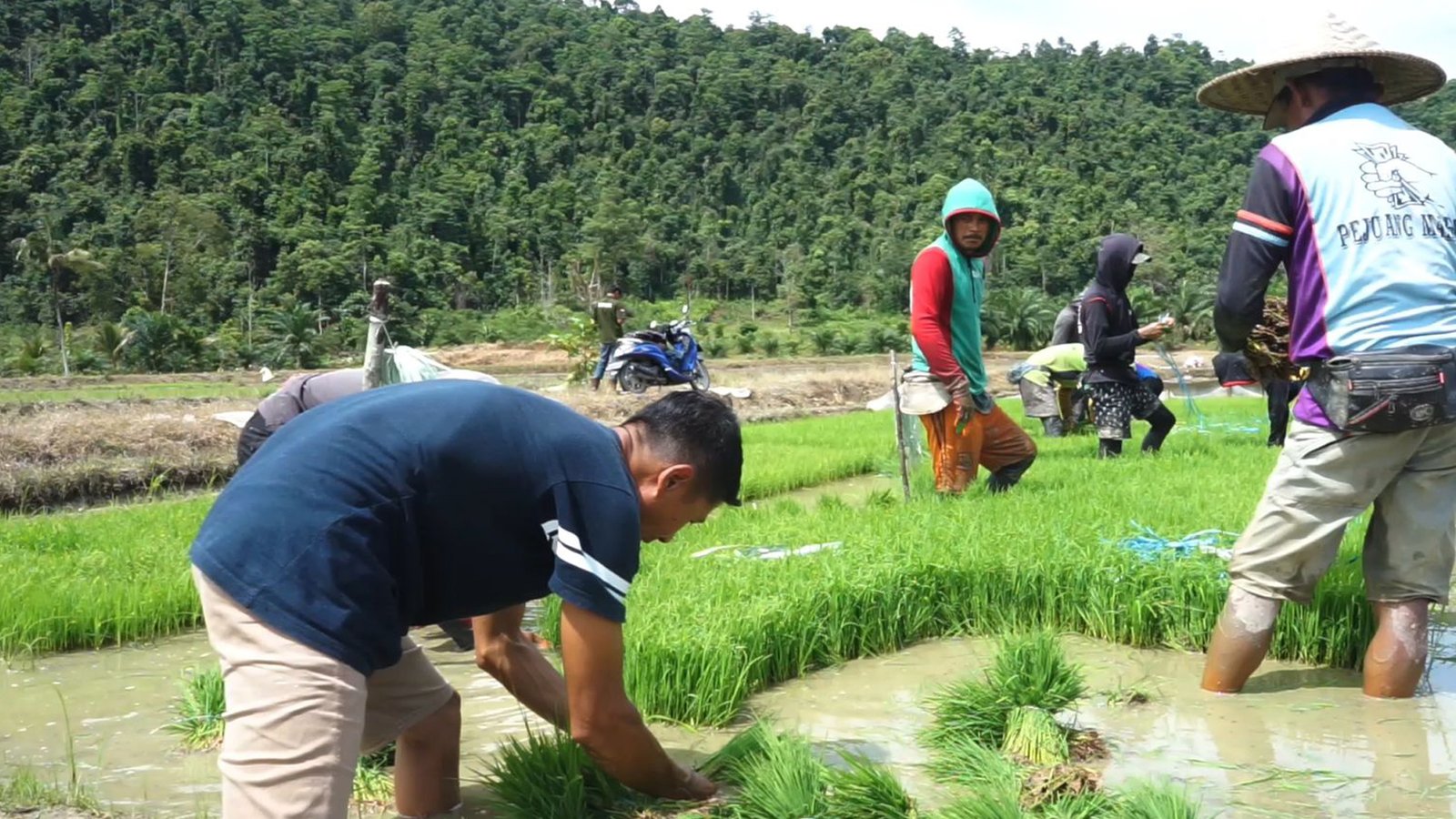 Petani Binaan