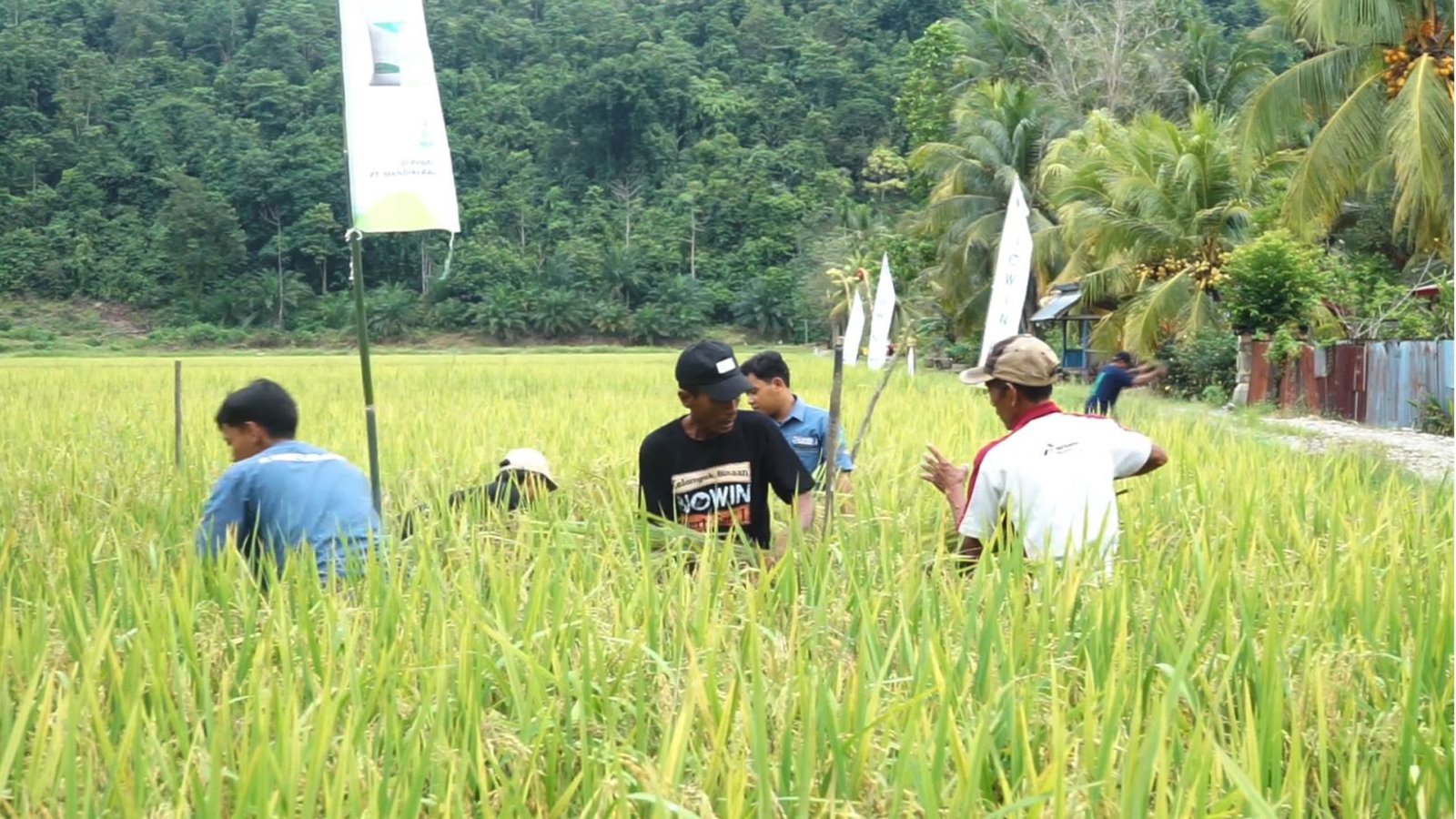 Petani Binaan 2