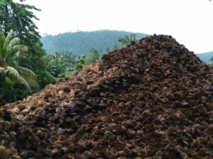 Artikel 2 - Dari Limbah Sawit Jadi Solusi_ Perjalanan Biowin Mendukung Circular Economy Artikel 2 - Dari Limbah Sawit Jadi Solusi_ Perjalanan Biowin Mendukung Circular Economy
