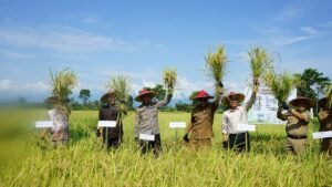 Artikel 3 - Kita Sukses Kelompok Tani Binaan Biowin_ Panen Lebih Melimpah, Biaya Hemat, Tanah Lebih Sehat dengan Pupuk Organik Biowin Artikel 3 - Kita Sukses Kelompok Tani Binaan Biowin_ Panen Lebih Melimpah, Biaya Hemat, Tanah Lebih Sehat dengan Pupuk Organik Biowin