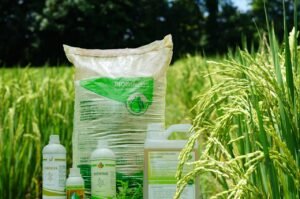 biowin background padi