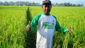 petani menggunakan biowin